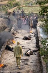 高清组图：《我们队伍》热播 陈紫函灰头土脸赢爱情