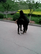 秒娱连珠：一吻定情!亲出技术含量