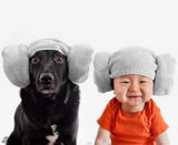 组图：台湾流浪狗被跨海收养 萌狗萌娃照爆红