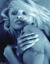 组图：艳星帕米拉-安德森拍全裸写真尺度大