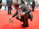 第65届威尼斯电影节红毯花絮