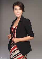 组图：王茜职业装写真干练优雅女人味十足