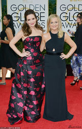 组图：典礼主持人蒂娜-菲&艾米-波勒知性气质