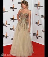 幻灯图集：妮可-基德曼闪耀CMA乡村音乐奖红毯