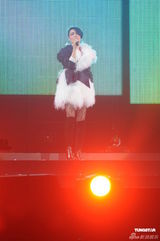 组图：王菲香港演唱会开场 刘嘉玲李亚鹏现身支持