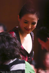 组图：章子怡凭《宗师》再获最佳女主 十度封后