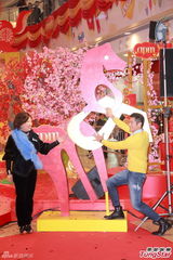 高清：郭富城马年再投资买马 电影为重感情暂放