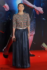 组图：《宗师》剧组压轴红毯 女星争秀美胸美背