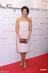 组图：杨采妮着粉裙献身慈善 与关楚耀周倩圯筹款