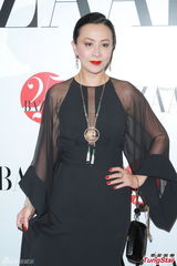 组图：刘嘉玲薄纱高开叉裙性感 谈梅姑遗物拍卖