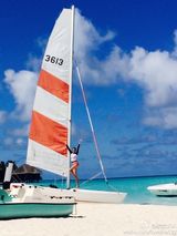 组图：陈浩民携妻女潜水 蒋丽莎性感泳装秀长腿