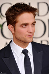 高清图：罗伯特-帕汀森帅气亮相 眼神迷人