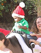 组图：桑德拉-布洛克为养子戴圣诞帽 骑马威风帅气