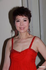 组图：汪明荃关菊英红配绿 罗兰胡枫刘以达同场