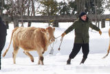 组图：帕丁森雪地拍新戏 穿棉袄变身“放牛娃”