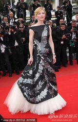 幻灯图集：凯特-布兰切特纱摆裙彰显华丽