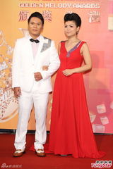 群星亮相金曲奖红毯 蔡依林美腿梁静茹性感(图)