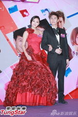 组图：苏永康钟嘉欣与民众跨年 岑丽香等盛装