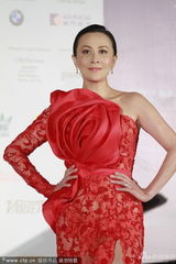组图：亚洲电影奖红毯 章子怡刘嘉玲艳压嫩模