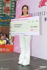 组图：慧妍雅集新执委就职 赵雅芝郑文雅出席义卖