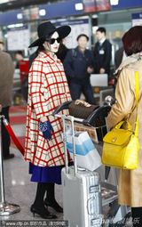 组图：范冰冰赴巴黎母亲送行 穿潮衣拿男包霸气外露