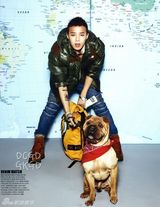 策划：韩星宠物集结号 爱豆们的宠物情人