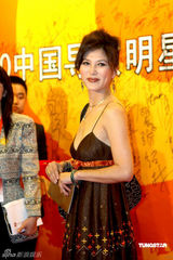 高清图：群星聚首电视导演年会 翁虹窈窕彭丹变化大