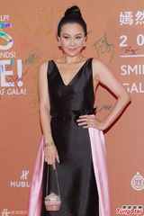 群星闪耀嫣然基金晚宴 王菲旗袍装与李亚鹏恩爱