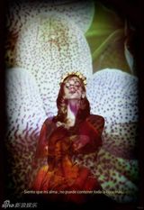 组图：乌克兰妖孽男模斯蒂夫写真雌雄同体