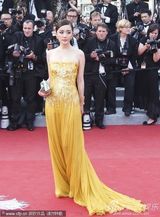 组图：杨幂陈廷嘉助阵《锈与骨》 单色礼服华美大方