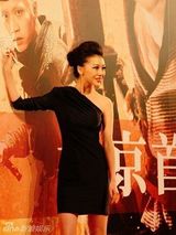 组图：巩新亮红毯各类多变造型盘点