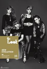 高清组图：韩女团2NE1时尚写真冷傲性感
