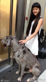 组图：台湾清纯大提琴公主走红 三姐妹秒杀宅男