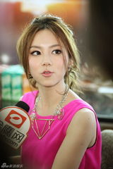 组图：《歌手2》后台采访 品冠接替韦唯亮相