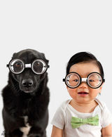 组图：台湾流浪狗被跨海收养 萌狗萌娃照爆红