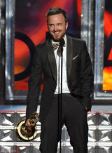 组图：《绝命毒师》艾伦-保罗再获剧情类最佳男配角