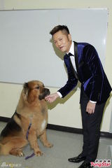 组图：苏志威秀驯烈犬功夫 高海宁走乖巧风