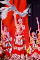 高清组图：谭晶王宏伟二重唱《心连心》剧照