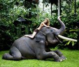 幻灯图集：加拿大美艳名模莎拉美图集锦100张