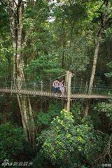 组图：陈赫携娇妻澳洲度蜜月 夫妻卖萌丛林探险