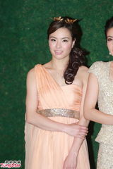 组图：晶刚香港婚宴 郭晶晶坠钻礼服挽霍启刚亮相