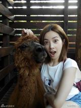 组图：徐怀钰度假兴奋合影草泥马 36岁仍似少女