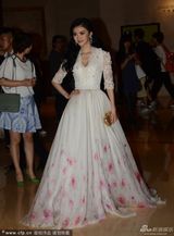 组图：《特殊身份》剧组甄子丹景甜挽手亮相