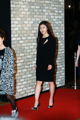 独家高清：T-ara与BEG等助阵河智苑新片试映