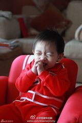 组图：微镜头下的小小志 呆萌可爱完胜童颜老爸