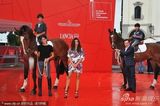 组图：电影《Cavalli》首映礼 阿海奎展异国风情