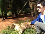 组图：李健支持环保赴肯尼亚 温柔抚摸帅气猎豹