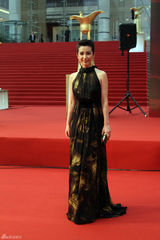 组图：李冰冰现身上影节红毯长裙典雅