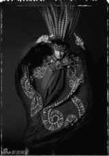 组图：林志玲范晓萱张震原住民写真展神秘诱惑