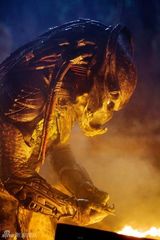 幻灯：新版电影《铁血战士》新剧照公布